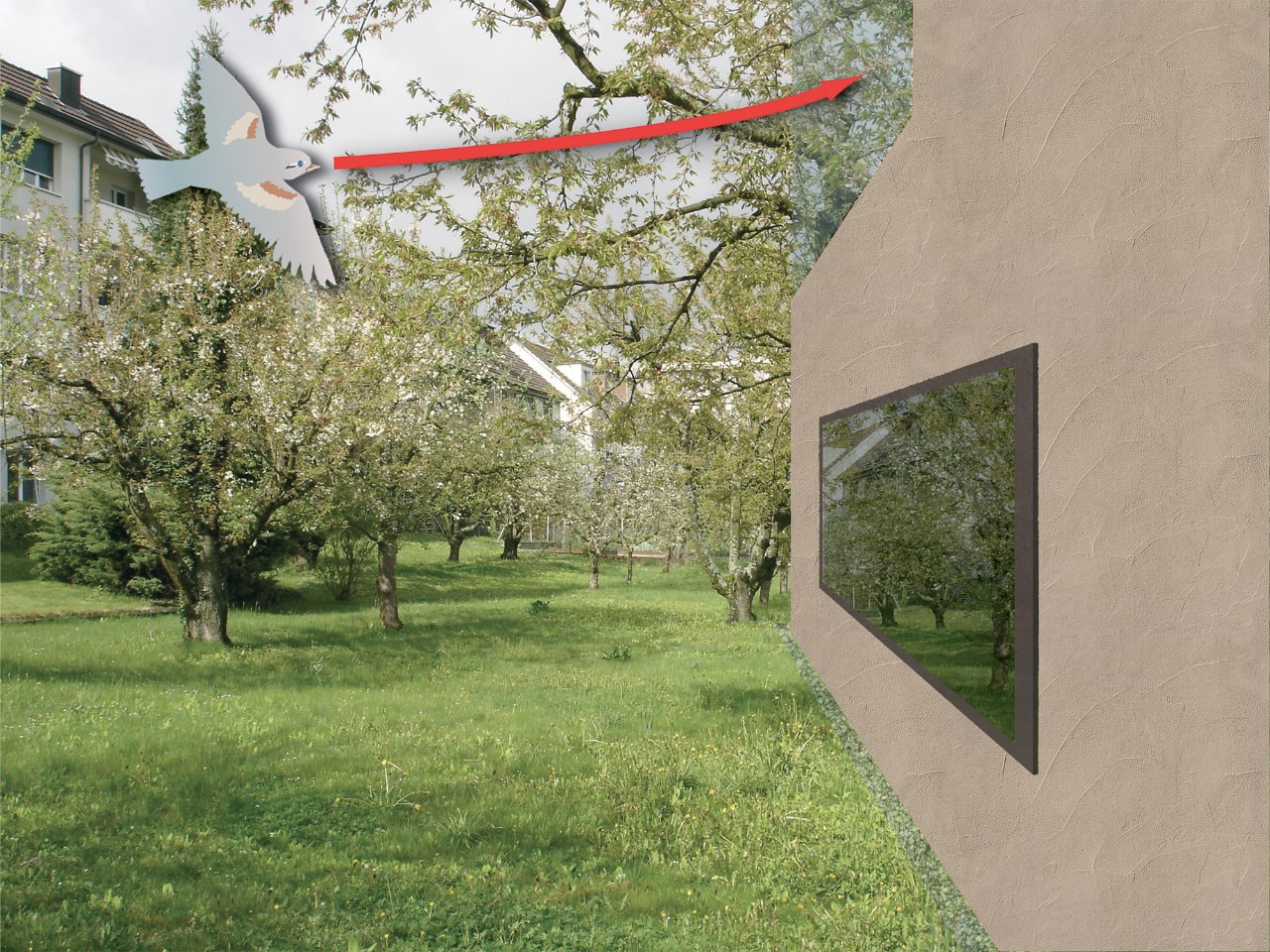 Bird Friendly Glazing