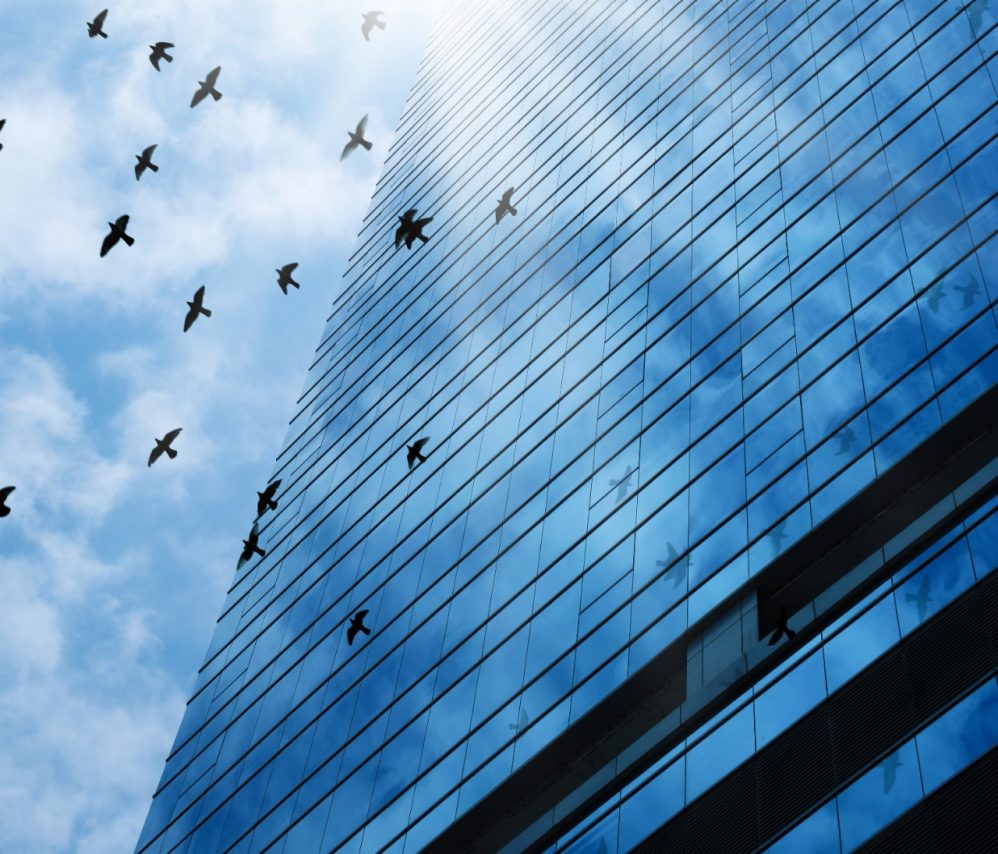 Tested to be bird-friendly